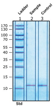 Colipase from porcine pancreas essentially salt-free, lyophilized powder