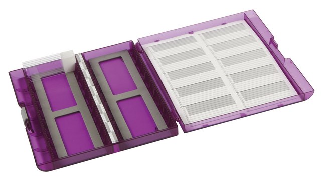 Premium Plus Slide Box to hold, 100&#160;slide(s), translucent purple acrylonitrile-butadiene-styrene (ABS)