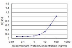 ANTI-ATF3 antibody produced in mouse clone 8D8, purified immunoglobulin, buffered aqueous solution
