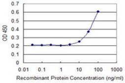 Monoclonal Anti-HOXD3 antibody produced in mouse clone 3C2, purified immunoglobulin, buffered aqueous solution