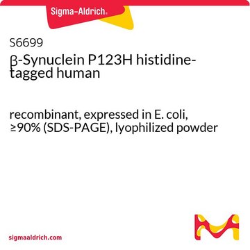 &#946;-Synuclein P123H histidine-tagged human recombinant, expressed in E. coli, &#8805;90% (SDS-PAGE), lyophilized powder