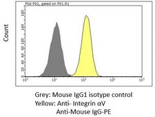 Anti-Integrin αV Antibody, clone LM142