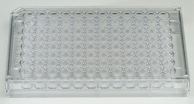 高灵敏度抗-FLAG&#174; M2抗体包被 96 孔板 96-well, clear, polystyrene, flat bottom plate