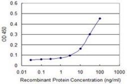 Monoclonal Anti-LFNG antibody produced in mouse clone 2D10-3C11, purified immunoglobulin, buffered aqueous solution