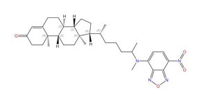25-NBD cholest-4-en-3-one Avanti Research™ - A Croda Brand