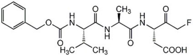 Caspase Inhibitor VI InSolution, &#8805;95%