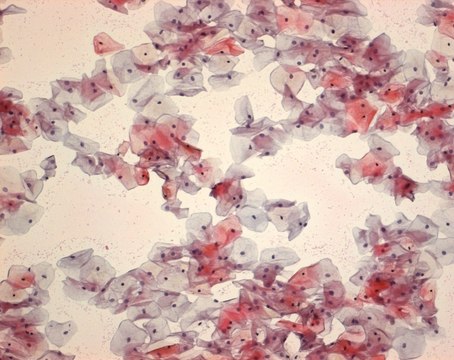 Papanicolaou EA-65 HARLECO&#174; Cytoplasmic counterstain for Pap staining technique