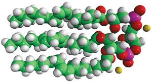 Monolyso Heart CA Avanti Research™ - A Croda Brand 850081P, powder
