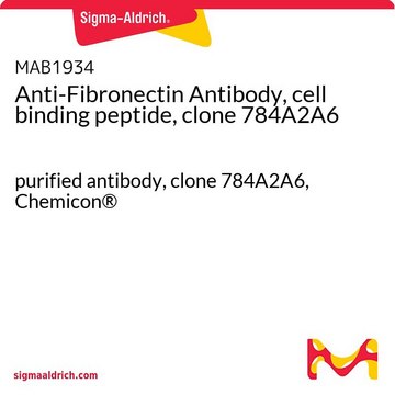 Anti-Fibronectin Antibody, cell binding peptide, clone 784A2A6 purified antibody, clone 784A2A6, Chemicon&#174;