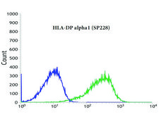 Anti-HLA-DP alpha 1 antibody, Rabbit monoclonal recombinant, expressed in proprietary host, clone SP228, affinity isolated antibody