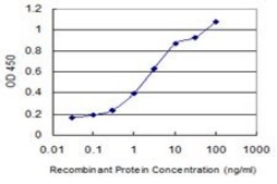 Monoclonal Anti-WWP1 antibody produced in mouse clone 2B7, purified immunoglobulin, buffered aqueous solution