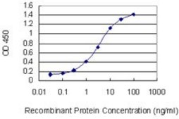 Monoclonal Anti-CGB5 antibody produced in mouse clone 2E7, purified immunoglobulin, buffered aqueous solution