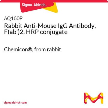 Rabbit Anti-Mouse IgG Antibody, F(ab&#8242;)2, HRP conjugate Chemicon&#174;, from rabbit