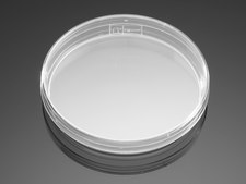 Corning® Falcon® Bacteriological Petri Dish W × H 100 mm × 15 mm, standard lid, sterile