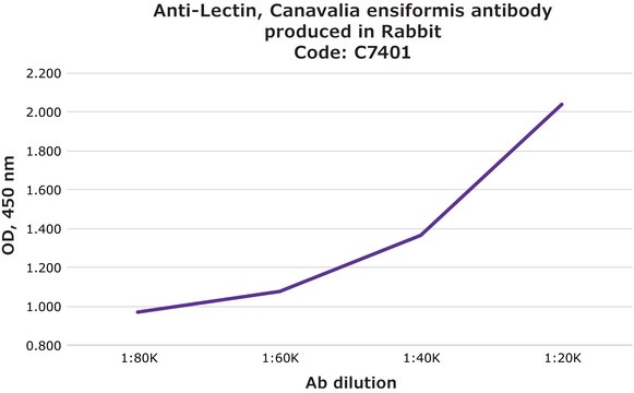 Anti-Lectin, Canavalia ensiformis antibody produced in rabbit fractionated antiserum, lyophilized powder