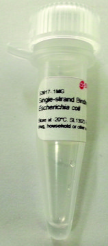 单链结合蛋白 来源于大肠杆菌 &gt;95% (SDS-PAGE), for molecular biology, Single strand binding protein to enhance PCR specificity