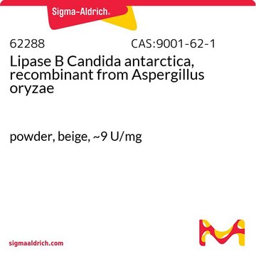 Lipase B Candida antarctica, recombinant from Aspergillus oryzae powder, beige, ~9&#160;U/mg