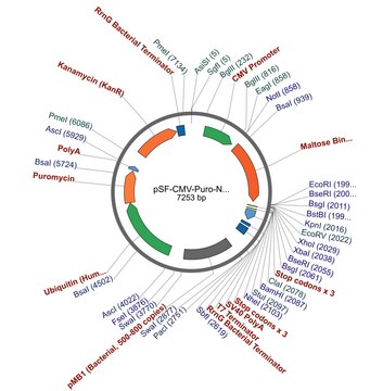 PSF-CMV-PURO-NH2-MBP - N-TERMINAL MBP TAG MAMMALIAN PLASMID plasmid vector for molecular cloning