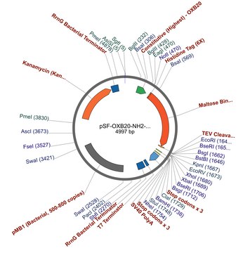 PSF-OXB20-NH2-6HIS-MBP-TEV - N-TERMINAL 6 HIS AND MBP DUAL TAG BACTERIAL PLASMID plasmid vector for molecular cloning