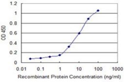 Monoclonal Anti-GRM1 antibody produced in mouse clone 1F7, purified immunoglobulin, buffered aqueous solution