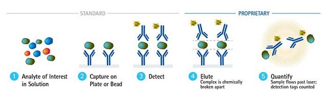 SMC&#174; Human IL-12p70 High Sensitivity Immunoassay Kit