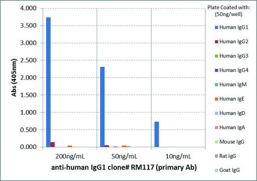 Anti-Human IgG1 antibody, Rabbit monoclonal recombinant, expressed in HEK 293 cells, clone RM117, purified immunoglobulin