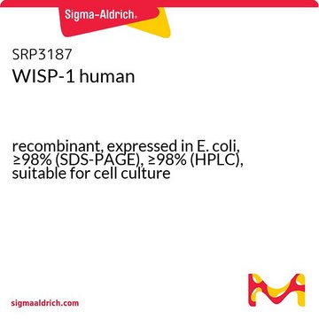 WISP-1 human recombinant, expressed in E. coli, &#8805;98% (SDS-PAGE), &#8805;98% (HPLC), suitable for cell culture