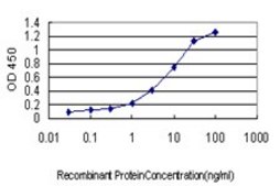Monoclonal Anti-RAPGEF2 antibody produced in mouse clone 1E8, purified immunoglobulin, buffered aqueous solution