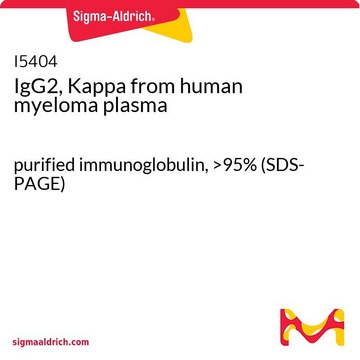 IgG2，&#954; 来源于人类骨髓瘤血浆 purified immunoglobulin, &gt;95% (SDS-PAGE)