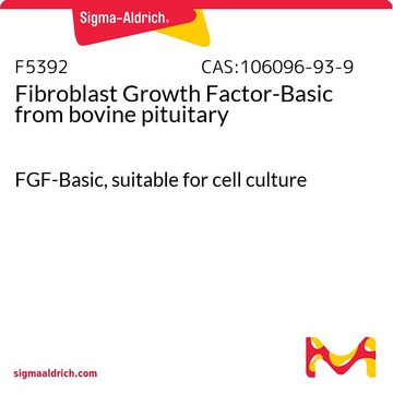 Fibroblast Growth Factor-Basic from bovine pituitary FGF-Basic, suitable for cell culture