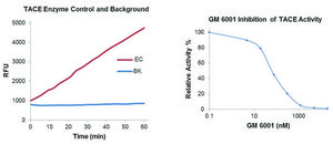 Tace 抑制剂筛选检测试剂盒 Sufficient for 100 Fluorometric tests
