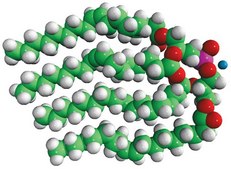 18:1 BDP (S,S) sn-[2,3-dioleoyl]-glycerol-1-phospho-sn-1′-[2′,3′-dioleoyl]-glycerol (ammonium salt), powder