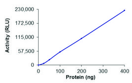 PIP5K3 (PIKFYVE), Active PRECISIO® Kinase, recombinant