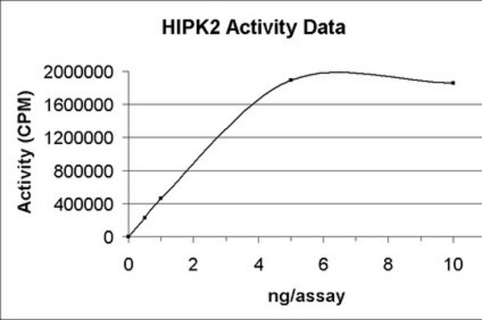 HIPK2 Protein, active, 10 &#181;g Active, N-terminal His6-tagged, recombinant, human HIPK2, amino acids 165-564, for use in Kinase Assays.