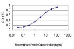 Monoclonal Anti-IL1F9 antibody produced in mouse clone 8A11, purified immunoglobulin, buffered aqueous solution