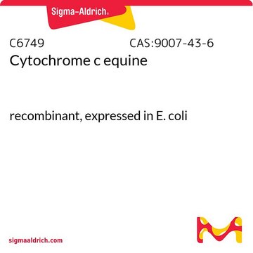 Cytochrome c equine recombinant, expressed in E. coli