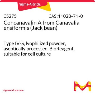 伴刀豆球蛋白A 来源于洋刀豆 （刀豆） Type IV-S, lyophilized powder, aseptically processed, BioReagent, suitable for cell culture