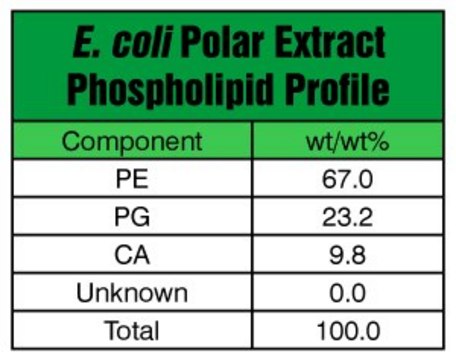 大肠杆菌提取物极性 Avanti Polar Lipids