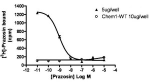 ChemiSCREEN Membrane Preparation Recombinant Human α1B Adrenergic Receptor Human alpha1B GPCR membrane preparation for Radioligand binding Assays &amp; GTPγS binding.
