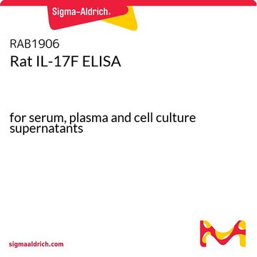 Rat IL-17F ELISA for serum, plasma and cell culture supernatants