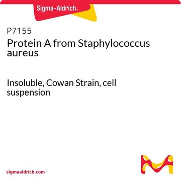 蛋白质A 来源于金黄色葡萄球菌 Insoluble, Cowan Strain, cell suspension