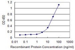 Monoclonal Anti-RCN1 antibody produced in mouse clone 4D9-G3, purified immunoglobulin, buffered aqueous solution