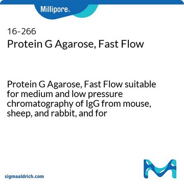 蛋白G琼脂糖，快流量 Protein G Agarose, Fast Flow suitable for medium and low pressure chromatography of IgG from mouse, sheep, and rabbit, and for immunoprecipitations.