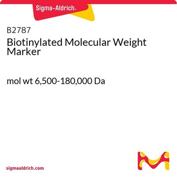 Biotinylated Molecular Weight Marker mol wt 6,500-180,000&#160;Da