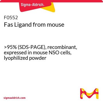 Fas Ligand from mouse &gt;95% (SDS-PAGE), recombinant, expressed in mouse NSO cells, lyophilized powder