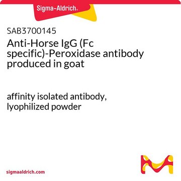 Anti-Horse IgG (Fc specific)-Peroxidase antibody produced in goat affinity isolated antibody, lyophilized powder