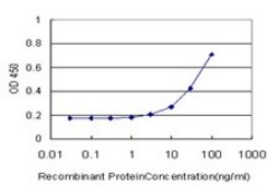 Monoclonal Anti-PTPN4 antibody produced in mouse clone 3C8, purified immunoglobulin, buffered aqueous solution