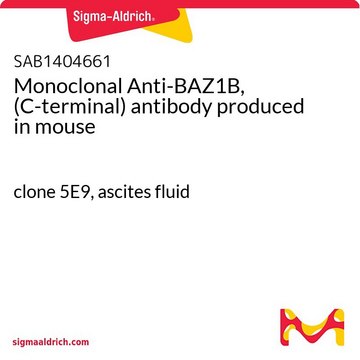 Monoclonal Anti-BAZ1B, (C-terminal) antibody produced in mouse clone 5E9, ascites fluid