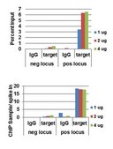 AccuChIP Trimethyl-Histone H3 (Lys4) Chromatin Immunoprecipitation Internal Control target-specific spike-in controls that make ChIP experiments more quantitative and accurate