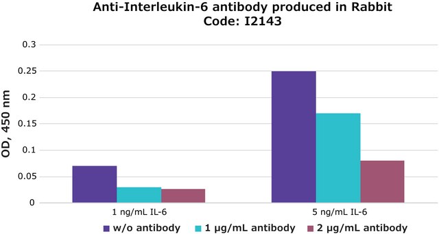 Anti-Interleukin-6 antibody produced in rabbit IgG fraction of antiserum, buffered aqueous solution